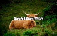 生肖龙和生肖猪配吗 两人皆属财气盈满