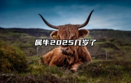 属牛2025几岁了 1985年属牛2025年运势完整版
