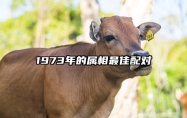 1973年的属相最佳配对 1973年的属相最佳配对生肖