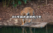 86年属虎最难的几年 1986年属虎最难熬年年纪是几岁