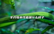 羊刃驾杀性格是什么样子 羊刃驾杀靠什么发财