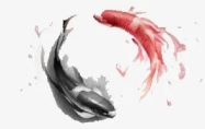 六两八钱女命 六两八钱女命详解