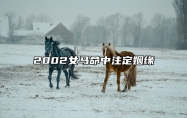 2002女马命中注定姻缘 