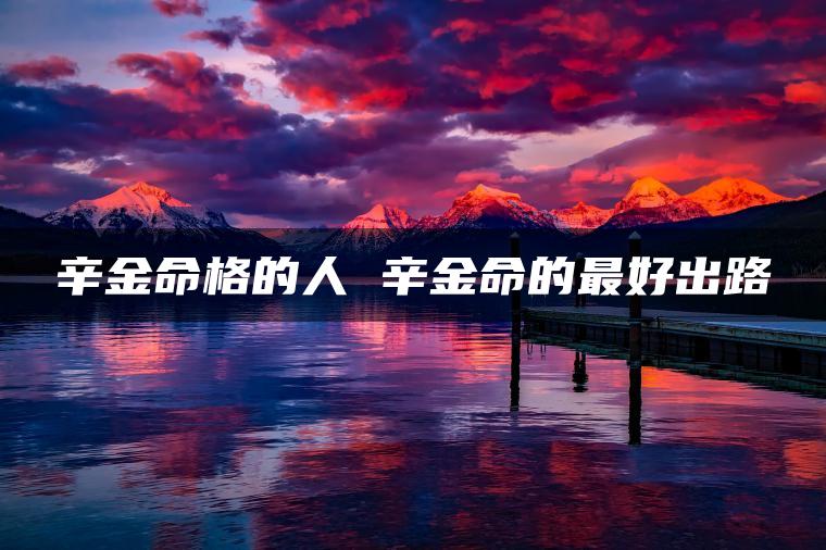 辛金命格的人 辛金命的最好出路