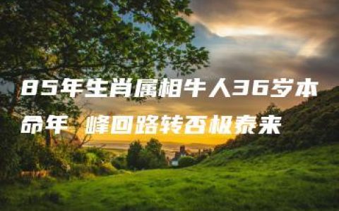 85年生肖属相牛人36岁本命年 峰回路转否极泰来