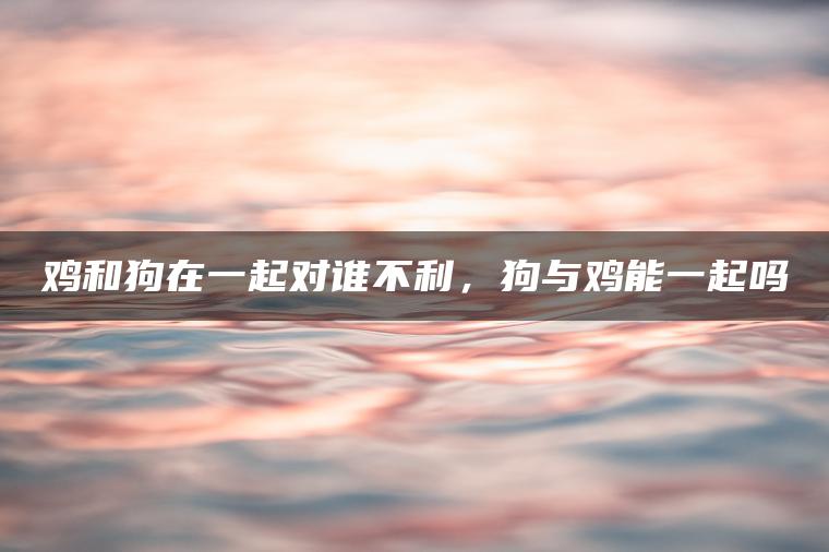 鸡和狗在一起对谁不利，狗与鸡能一起吗