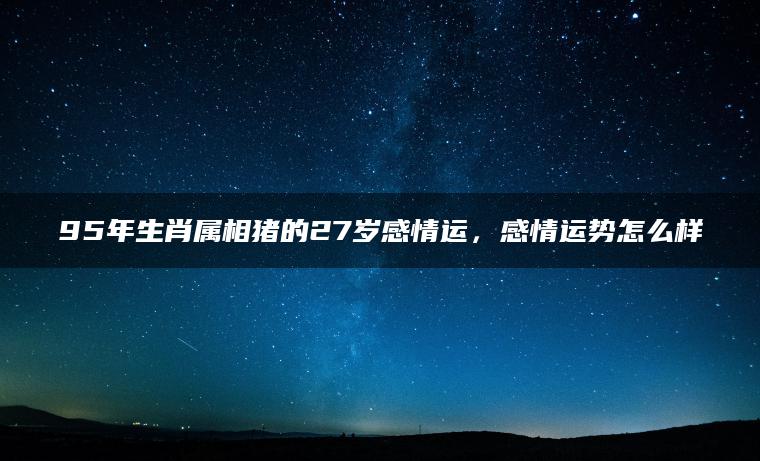 95年生肖属相猪的27岁感情运，感情运势怎么样