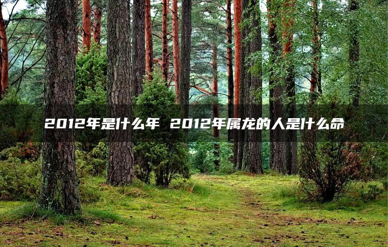 2012年是什么年 2012年属龙的人是什么命