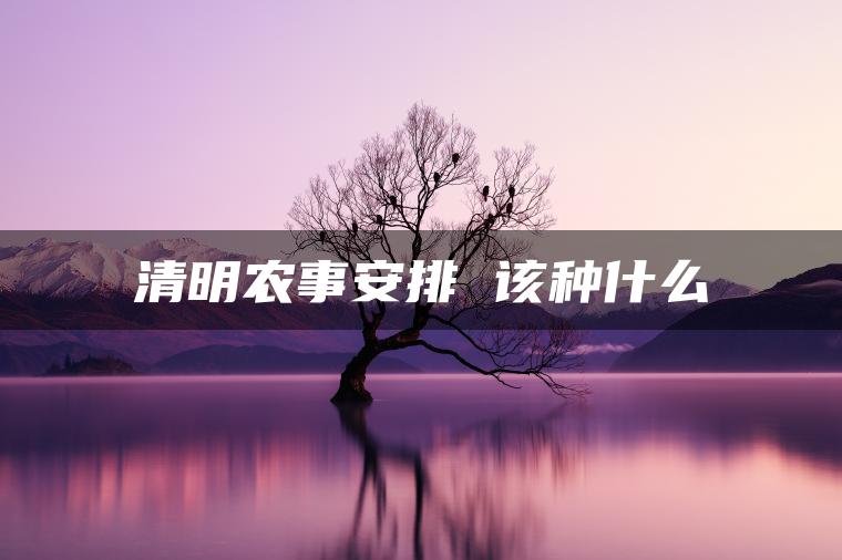 清明农事安排 该种什么