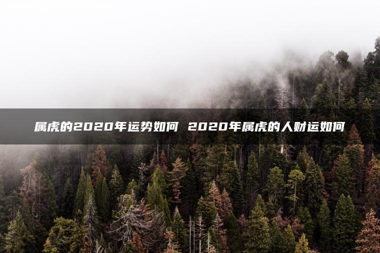 属虎的2020年运势如何 2020年属虎的人财运如何