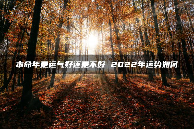 本命年是运气好还是不好 2022年运势如何