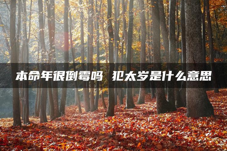 本命年很倒霉吗 犯太岁是什么意思