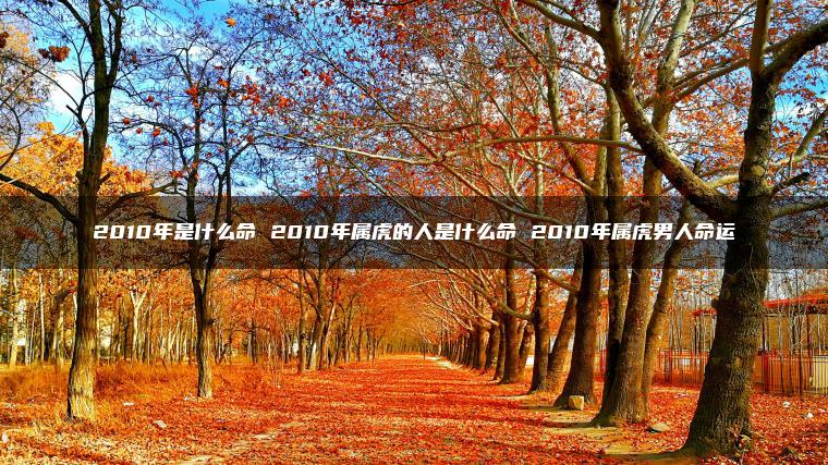 2010年是什么命 2010年属虎的人是什么命 2010年属虎男人命运