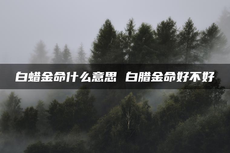 白蜡金命什么意思 白腊金命好不好