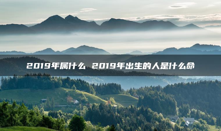 2019年属什么 2019年出生的人是什么命