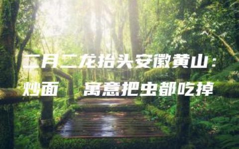 二月二龙抬头安徽黄山：炒面  寓意把虫都吃掉