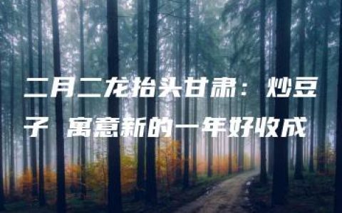 二月二龙抬头甘肃：炒豆子 寓意新的一年好收成