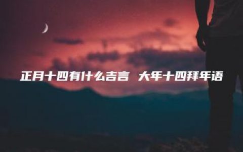 正月十四有什么吉言 大年十四拜年语