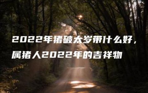 2022年猪破太岁带什么好，属猪人2022年的吉祥物