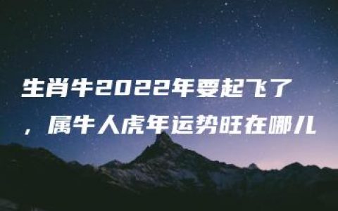 生肖牛2022年要起飞了，属牛人虎年运势旺在哪儿