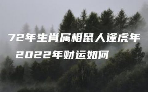 72年生肖属相鼠人逢虎年 2022年财运如何