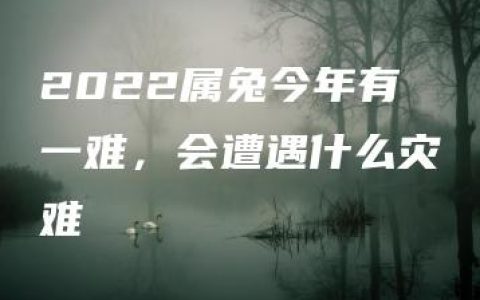 2022属兔今年有一难，会遭遇什么灾难