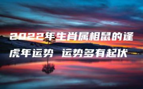 2022年生肖属相鼠的逢虎年运势 运势多有起伏