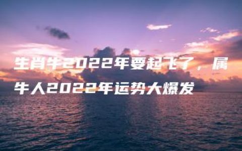 生肖牛2022年要起飞了，属牛人2022年运势大爆发