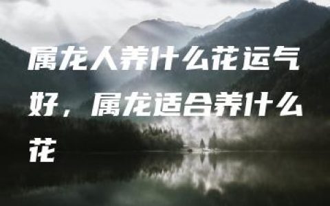 属龙人养什么花运气好，属龙适合养什么花