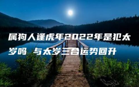 属狗人逢虎年2022年是犯太岁吗 与太岁三合运势回升