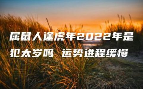 属鼠人逢虎年2022年是犯太岁吗 运势进程缓慢