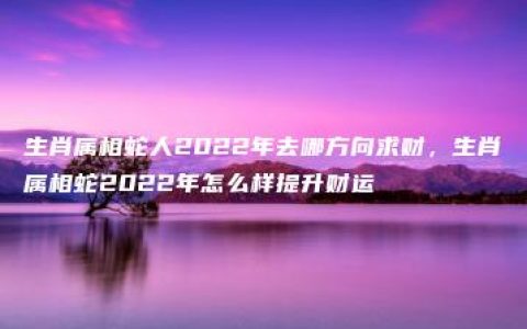 生肖属相蛇人2022年去哪方向求财，生肖属相蛇2022年怎么样提升财运