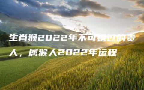 生肖猴2022年不可错过的贵人，属猴人2022年运程