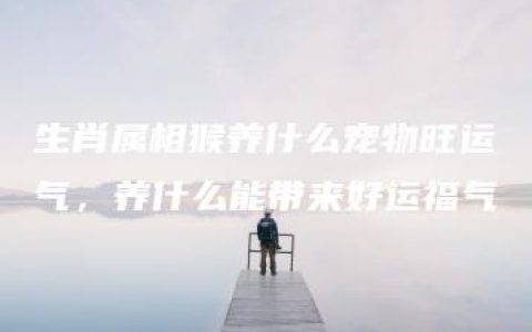 生肖属相猴养什么宠物旺运气，养什么能带来好运福气