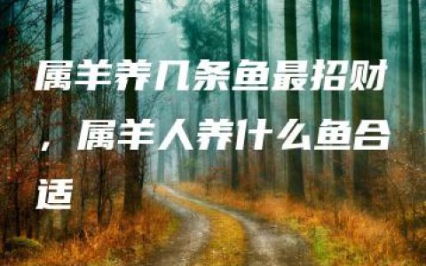 属羊养几条鱼最招财，属羊人养什么鱼合适