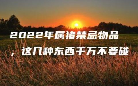 2022年属猪禁忌物品，这几种东西千万不要碰