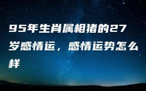 95年生肖属相猪的27岁感情运，感情运势怎么样