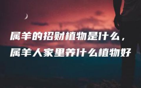 属羊的招财植物是什么，属羊人家里养什么植物好