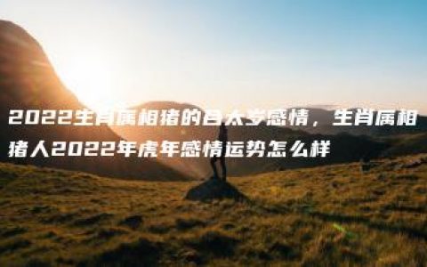 2022生肖属相猪的合太岁感情，生肖属相猪人2022年虎年感情运势怎么样