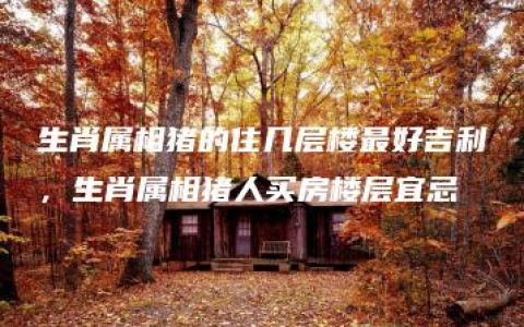 生肖属相猪的住几层楼最好吉利，生肖属相猪人买房楼层宜忌