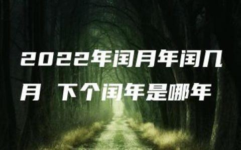 2022年闰月年闰几月 下个闰年是哪年