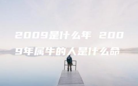 2009是什么年 2009年属牛的人是什么命