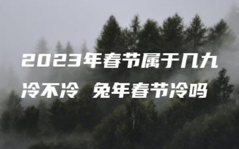 2023年春节属于几九冷不冷 兔年春节冷吗