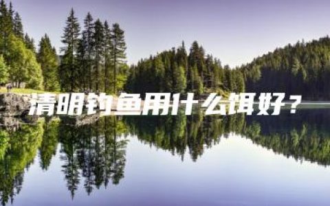 清明钓鱼用什么饵好？