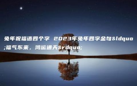 兔年祝福语四个字 2023年兔年四字金句“福气东来，鸿运通天”