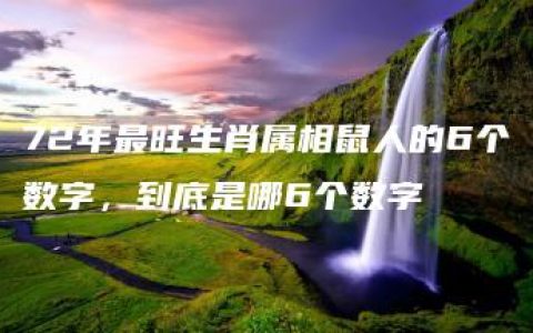 72年最旺生肖属相鼠人的6个数字，到底是哪6个数字