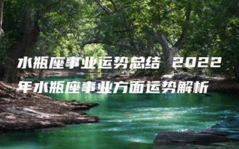 水瓶座事业运势总结 2022年水瓶座事业方面运势解析