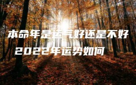 本命年是运气好还是不好 2022年运势如何