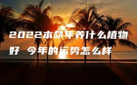 2022本命年养什么植物好 今年的运势怎么样