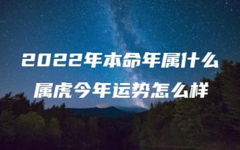 2022年本命年属什么 属虎今年运势怎么样